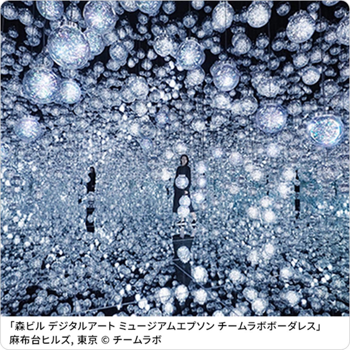 「森ビル デジタルアート ミュージアムエプソン チームラボボーダレス」 麻布台ヒルズ, 東京 © チームラボ