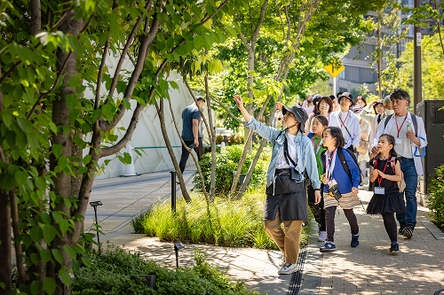 みどりのツアーメイン画像