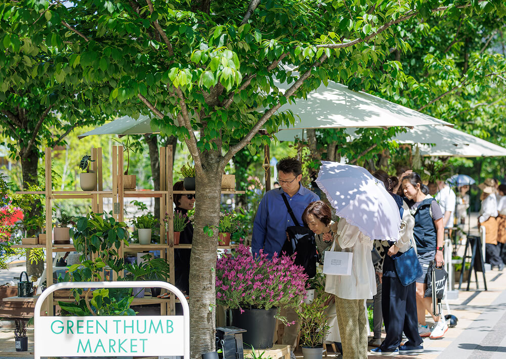 グリーン・サム・マーケット｜10月サブ画像